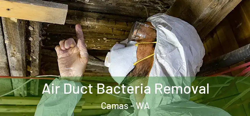 Air Duct Bacteria Removal Camas - WA