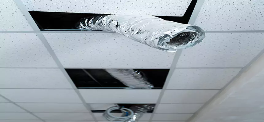 Affordable HVAC Sanitizing After Pest Removal in Camas