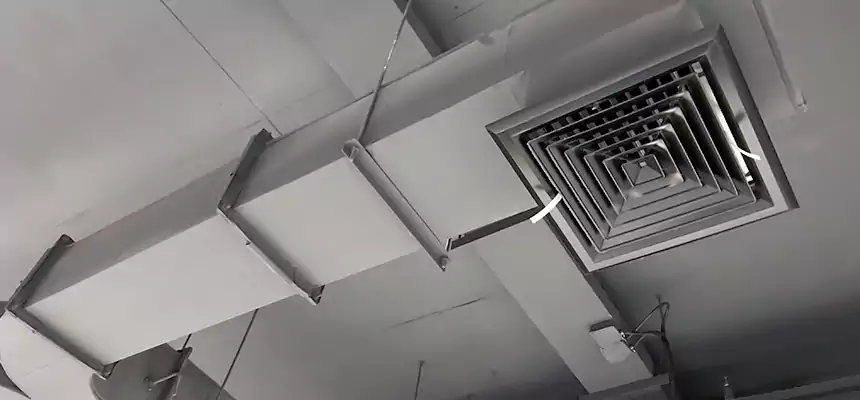 Restorative Allergy Relief Vent Cleaning – Coil, Blower & Housing Detail in Camas