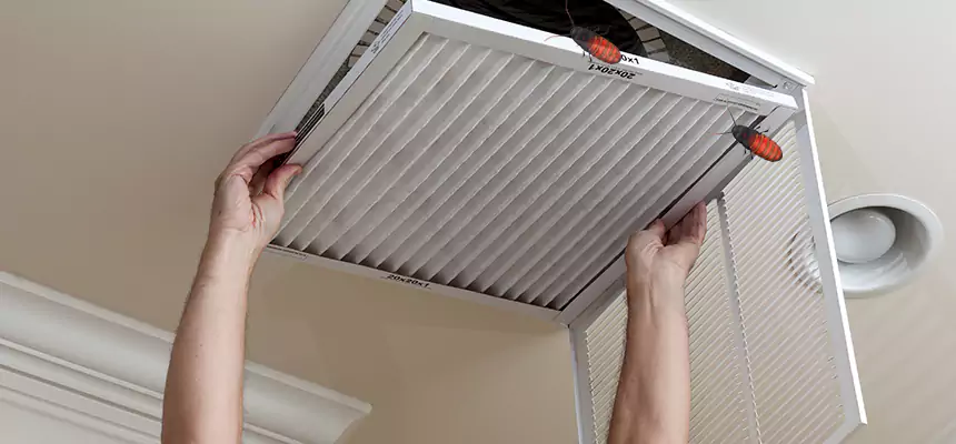 Our Insect Removal from Air Ducts Services in Camas, WA