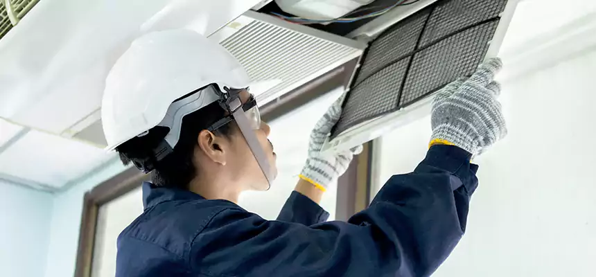 Our Mold & Mildew Removal from Air Ducts Services in Camas, WA