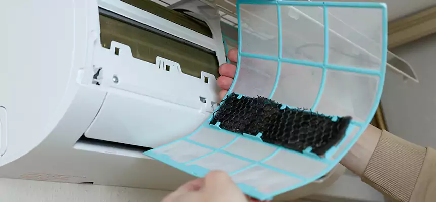 Gentle Ductwork Odor-Control Pet Dander Duct Cleaning in Camas, WA