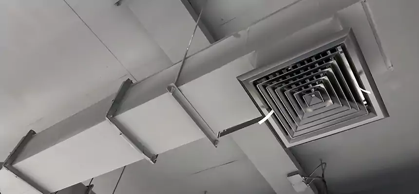 Our Rodent Droppings In Vents Services in Camas, WA