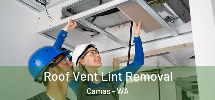 Roof Vent Lint Removal Camas - WA