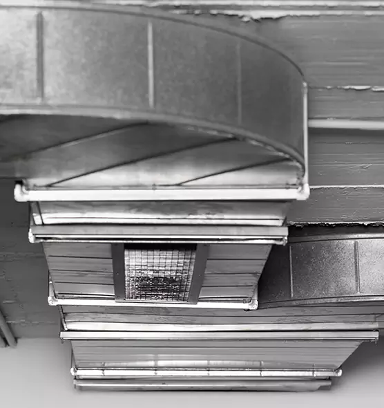 Professional Air Duct Pet Hair Removal in Camas, WA