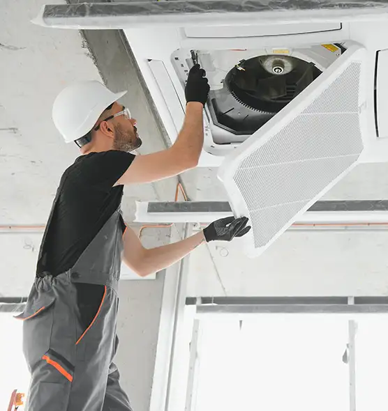 About Air Duct Rodent Removal in Camas, WA