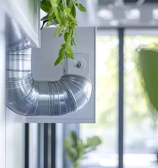 Professional Eco-Safe Dryer Vent Cleaning in Camas, WA