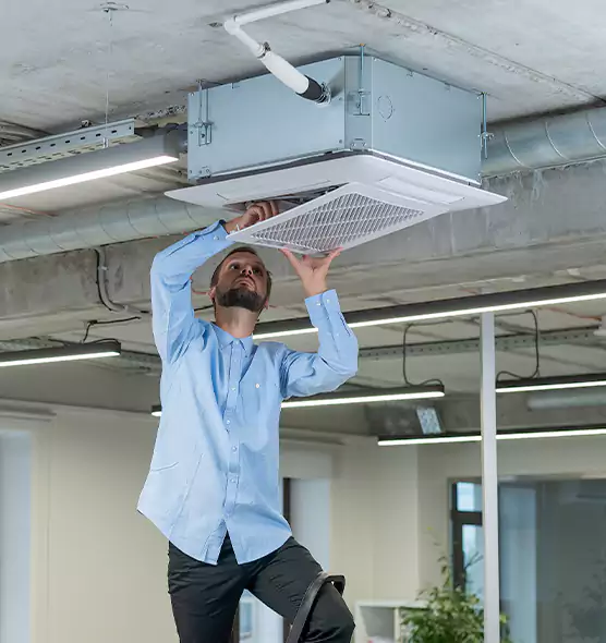 Advanced Rodent Droppings In Vents in Camas, WA