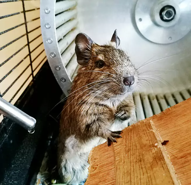 Why Homeowners & Businesses Trust Us Camas, WA?