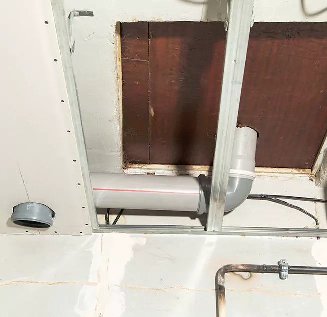 Why Homeowners & Businesses Trust Us in Camas, WA?