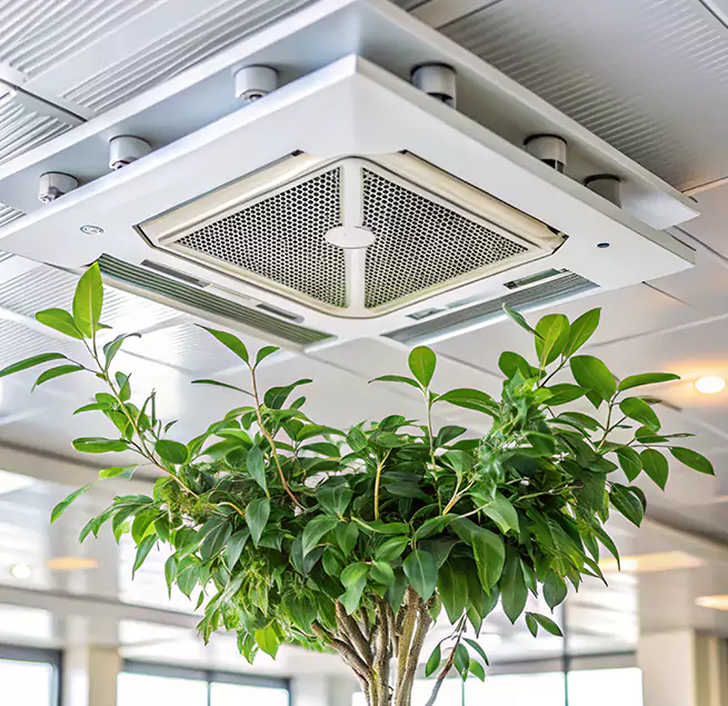 Why Homeowners & Businesses Trust Us in Camas, WA?