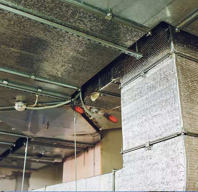 Why Homeowners & Businesses Trust Us Camas, WA?